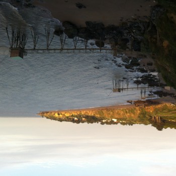 Chani - Obergerlafingen - Soleure | Strip Tease