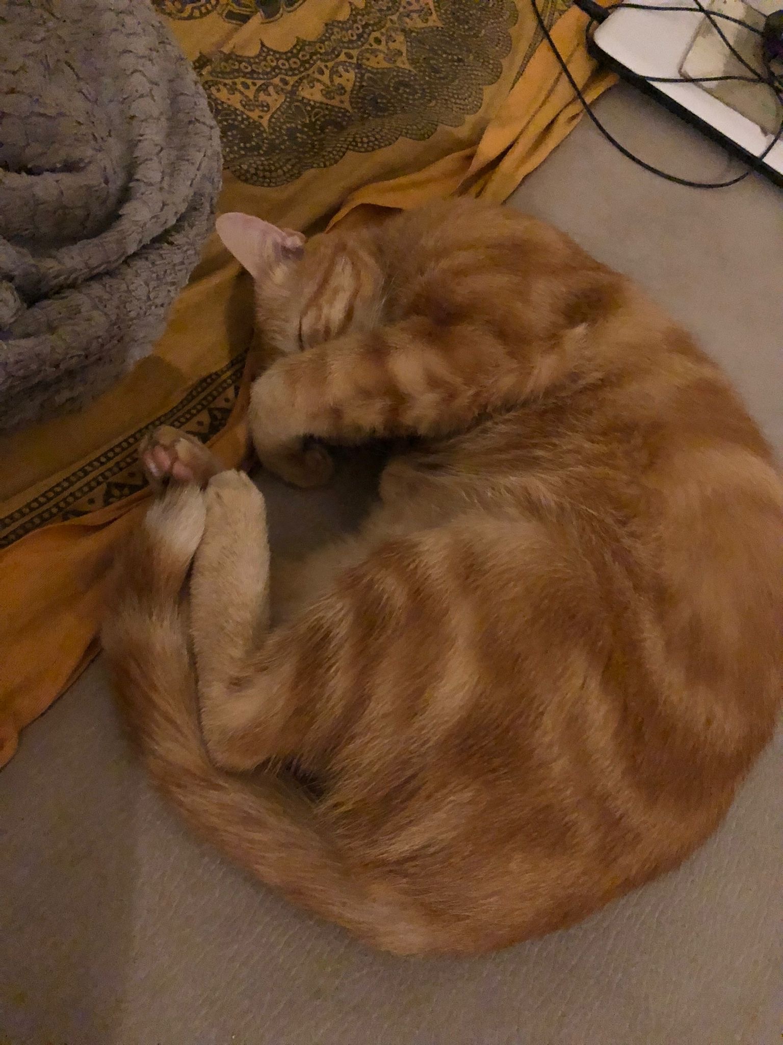 Silva - Reidermoos - Lucerne | Strip Tease