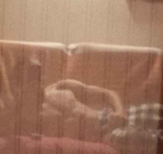 Emil - Auslikon - Zurich | Strip Tease