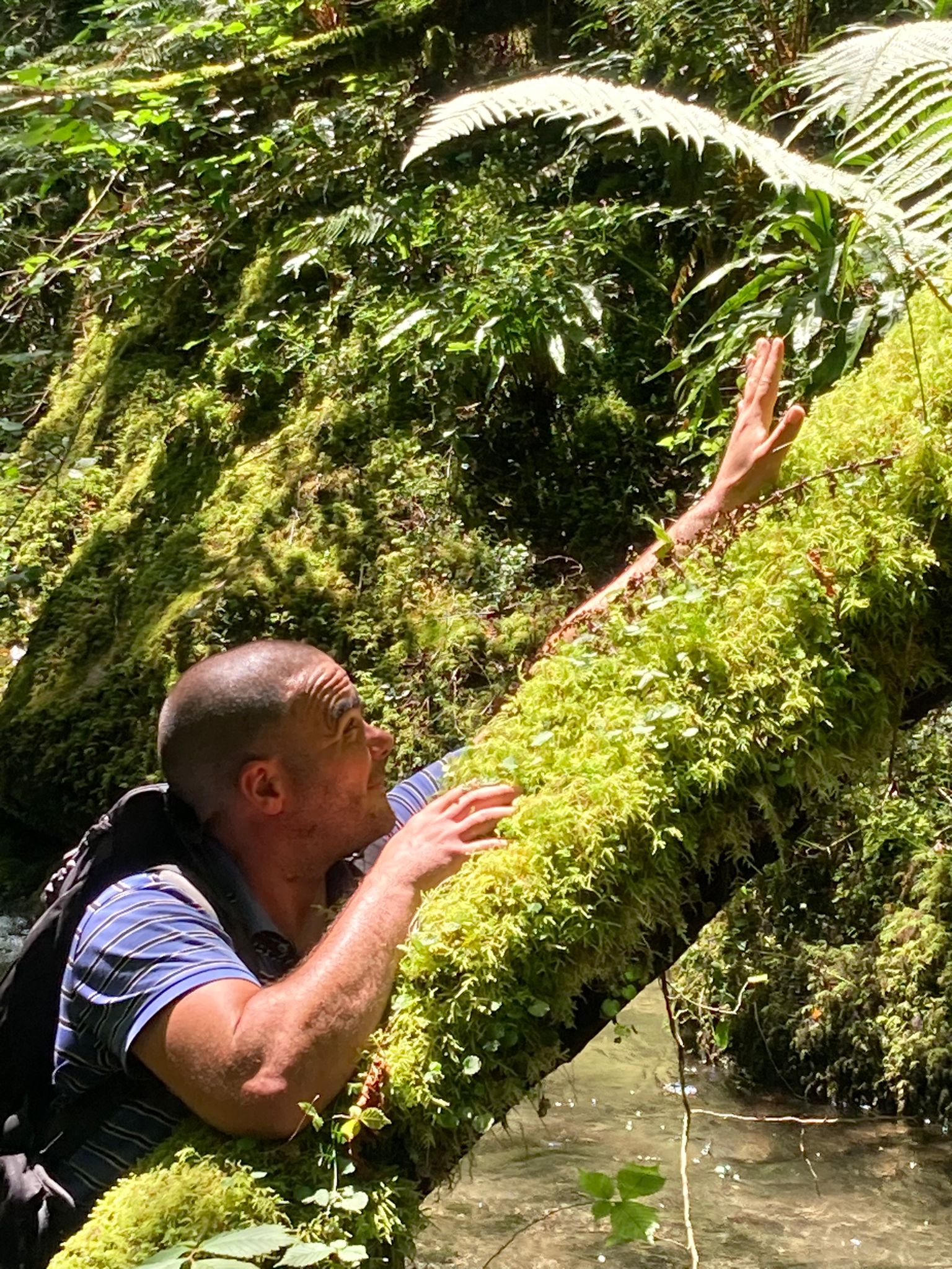 Kylliam - Kriens - Lucerne | Strip Tease