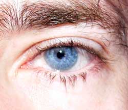 Kevan - Axalp - Berne | Strip Tease